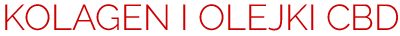 Ebo System Elżbieta Bociańska - Logo